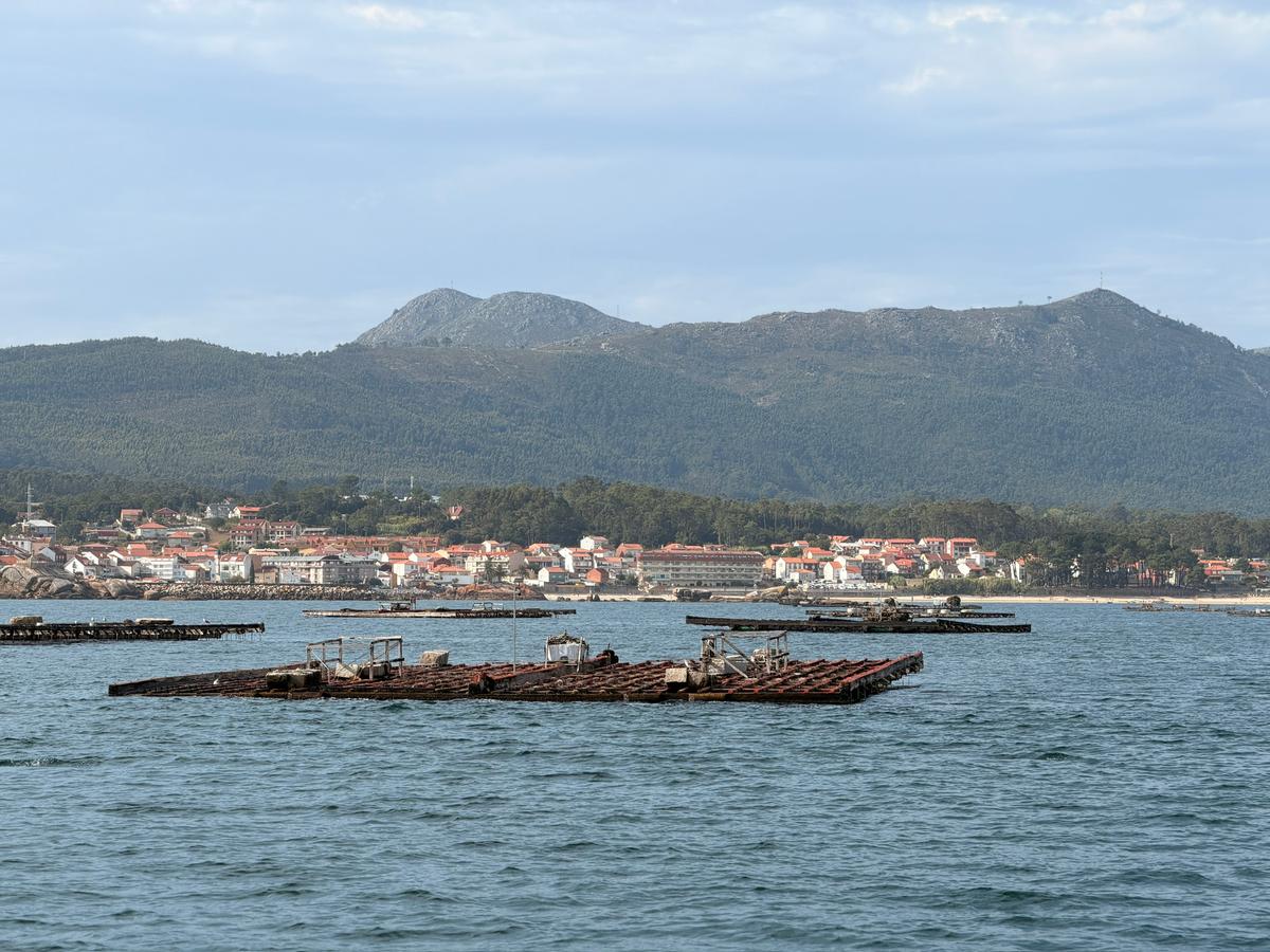 Bateas en la ría de Arousa con Ribeira y el monte al fondo